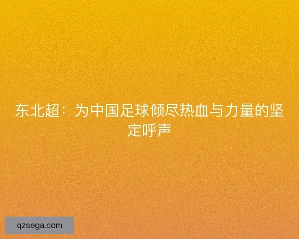 东北超：为中国足球倾尽热血与力量的坚定呼声